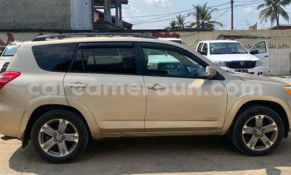 Acheter Import Voiture Toyota RAV4 Beige à Douala, Littoral Cameroon Acheter Import Voiture Toyota RAV4 Beige à Douala, Littoral Cameroon