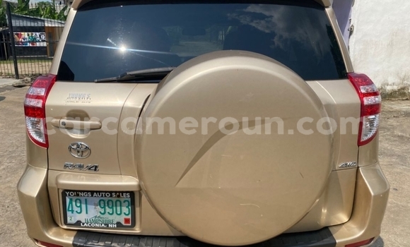 Acheter Import Voiture Toyota RAV4 Beige à Douala, Littoral Cameroon Acheter Import Voiture Toyota RAV4 Beige à Douala, Littoral Cameroon