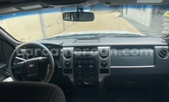 Sayi Na hannu Ford F–150 White Mota in Douala a Ƙasar Kamaru Sayi Na hannu Ford F–150 White Mota in Douala a Ƙasar Kamaru