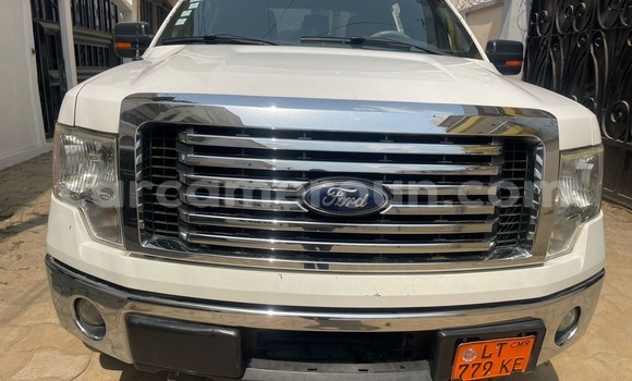 Sayi Na hannu Ford F–150 White Mota in Douala a Ƙasar Kamaru Sayi Na hannu Ford F–150 White Mota in Douala a Ƙasar Kamaru