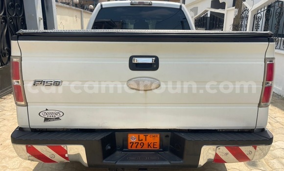 Sayi Na hannu Ford F–150 White Mota in Douala a Ƙasar Kamaru Sayi Na hannu Ford F–150 White Mota in Douala a Ƙasar Kamaru