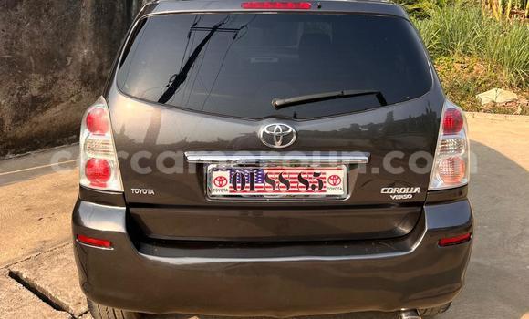 Acheter Occasion Voiture Toyota Corolla Verso Marron à Douala, Littoral Cameroon Acheter Occasion Voiture Toyota Corolla Verso Marron à Douala, Littoral Cameroon