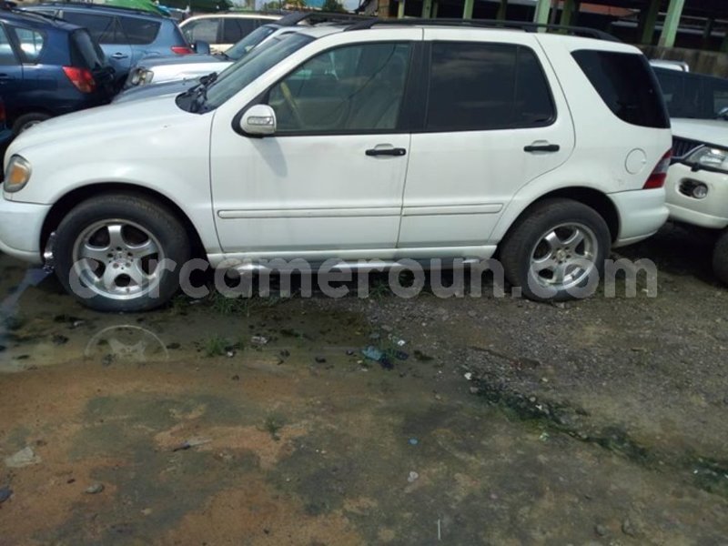 Big with watermark 42474847 2205290449745547 4209193440434454528 o