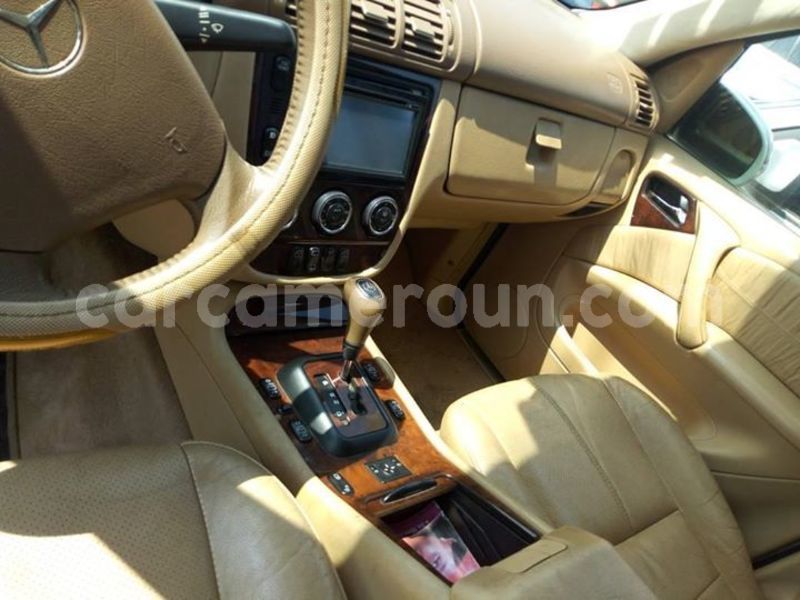 Big with watermark 42342568 2205290629745529 7653416749768900608 o