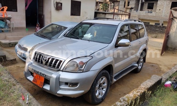Buy Used Toyota Prado Silver Car in Douala in Littoral Cameroon