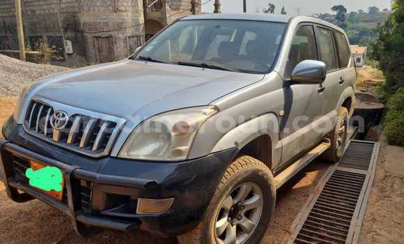 Buy Used Toyota Land Cruiser Prado Silver Car in Yaounde in Central Cameroon
