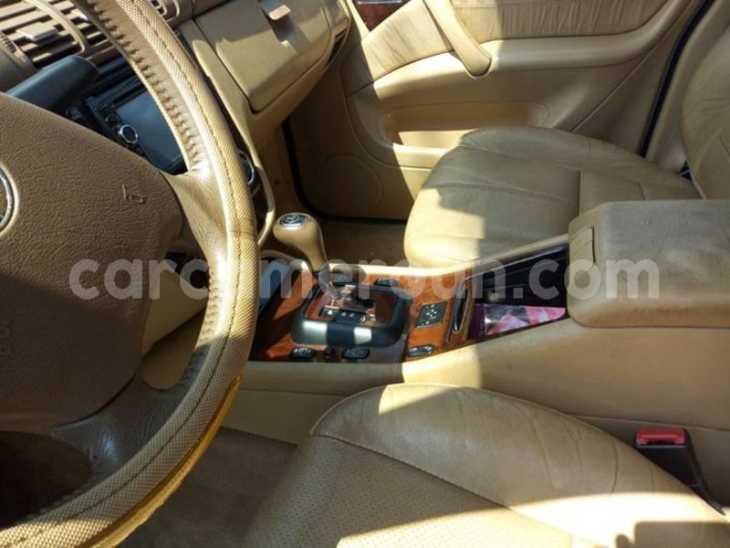 Big with watermark 42461362 2205290556412203 6843088547092627456 o