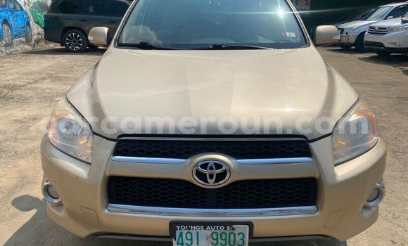 Acheter Occasion Voiture Toyota RAV4 Beige à Douala, Littoral Cameroon