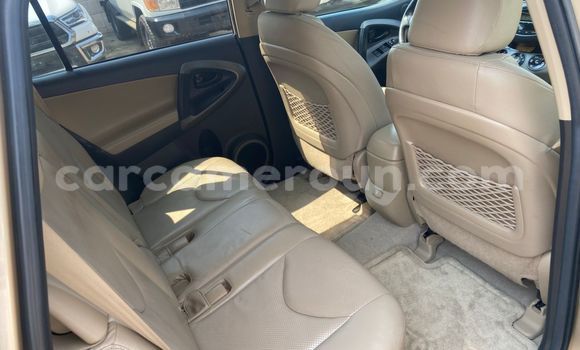 Acheter Occasion Voiture Toyota RAV4 Beige à Douala, Littoral Cameroon Acheter Occasion Voiture Toyota RAV4 Beige à Douala, Littoral Cameroon