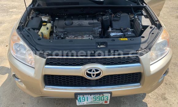 Acheter Occasion Voiture Toyota RAV4 Beige à Douala, Littoral Cameroon Acheter Occasion Voiture Toyota RAV4 Beige à Douala, Littoral Cameroon