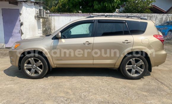 Acheter Occasion Voiture Toyota RAV4 Beige à Douala, Littoral Cameroon Acheter Occasion Voiture Toyota RAV4 Beige à Douala, Littoral Cameroon