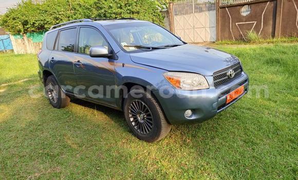 Sayi Na hannu Toyota RAV4 Blue Mota in Douala a Ƙasar Kamaru Sayi Na hannu Toyota RAV4 Blue Mota in Douala a Ƙasar Kamaru