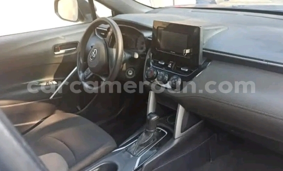 Sayi Na hannu Toyota Corolla Cross Blue Mota in Douala a Ƙasar Kamaru Sayi Na hannu Toyota Corolla Cross Blue Mota in Douala a Ƙasar Kamaru