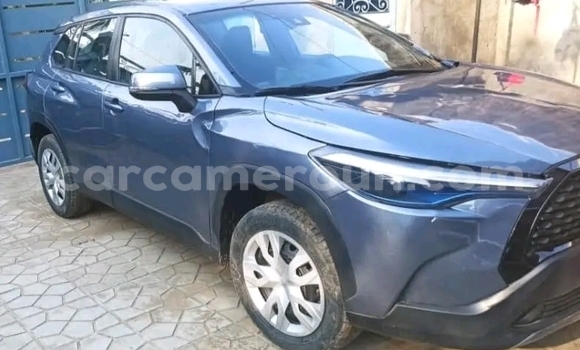 Sayi Na hannu Toyota Corolla Cross Blue Mota in Douala a Ƙasar Kamaru Sayi Na hannu Toyota Corolla Cross Blue Mota in Douala a Ƙasar Kamaru