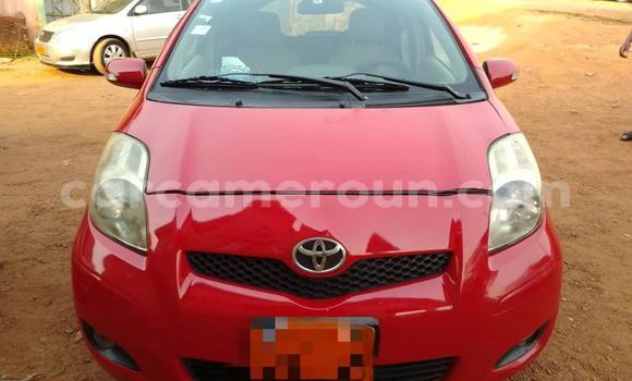 Buy Used Toyota Vitz Red Car in Yaounde in Central Cameroon Buy Used Toyota Vitz Red Car in Yaounde in Central Cameroon