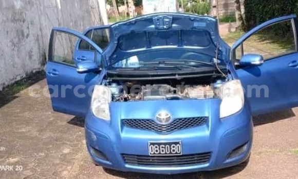 Buy Used Toyota Vitz Blue Car in Yaounde in Central Cameroon Buy Used Toyota Vitz Blue Car in Yaounde in Central Cameroon