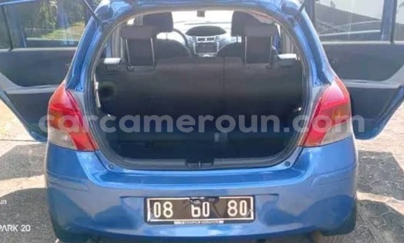 Buy Used Toyota Vitz Blue Car in Yaounde in Central Cameroon Buy Used Toyota Vitz Blue Car in Yaounde in Central Cameroon