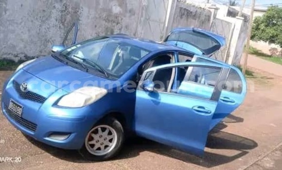 Buy Used Toyota Vitz Blue Car in Yaounde in Central Cameroon Buy Used Toyota Vitz Blue Car in Yaounde in Central Cameroon