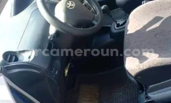 Buy Used Toyota Vitz Blue Car in Yaounde in Central Cameroon Buy Used Toyota Vitz Blue Car in Yaounde in Central Cameroon