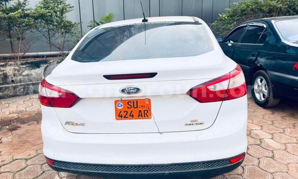 Sayi Na hannu Ford Focus White Mota in Yaounde a Babban Kamaru Sayi Na hannu Ford Focus White Mota in Yaounde a Babban Kamaru