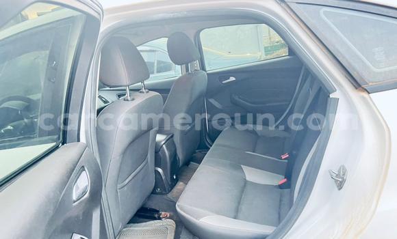 Sayi Na hannu Ford Focus White Mota in Yaounde a Babban Kamaru Sayi Na hannu Ford Focus White Mota in Yaounde a Babban Kamaru