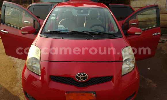 Buy Used Toyota Vitz Red Car in Yaounde in Central Cameroon