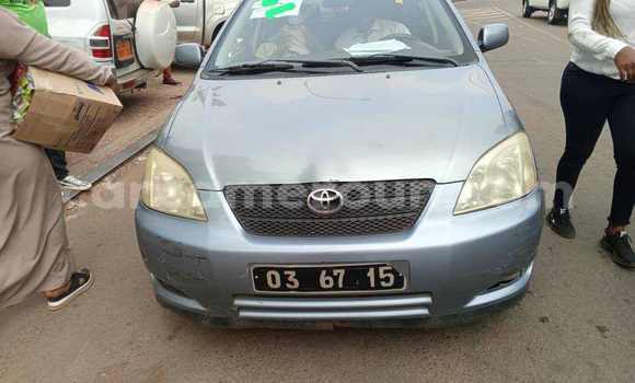 Buy Used Toyota Corolla Silver Car in Yaounde in Central Cameroon