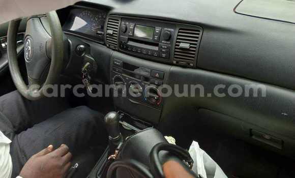 Sayi Na hannu Toyota Corolla Azurfa Mota in Yaounde a Babban Kamaru Sayi Na hannu Toyota Corolla Azurfa Mota in Yaounde a Babban Kamaru