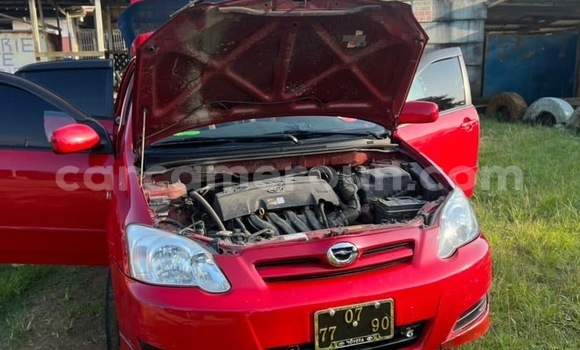 Buy Used Toyota Runx Red Car in Douala in Littoral Cameroon Buy Used Toyota Runx Red Car in Douala in Littoral Cameroon