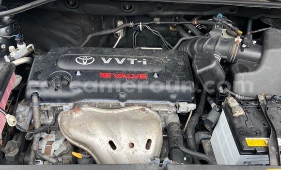 Buy Import Toyota Vanguard Silver Car in Douala in Littoral Cameroon Buy Import Toyota Vanguard Silver Car in Douala in Littoral Cameroon