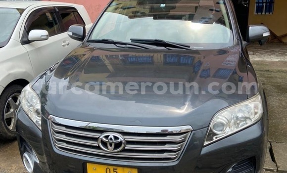 Buy Import Toyota Vanguard Silver Car in Douala in Littoral Cameroon Buy Import Toyota Vanguard Silver Car in Douala in Littoral Cameroon