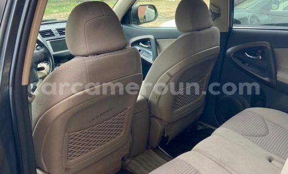 Buy Import Toyota Vanguard Silver Car in Douala in Littoral Cameroon Buy Import Toyota Vanguard Silver Car in Douala in Littoral Cameroon