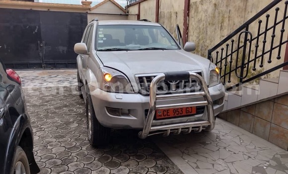 Acheter Neuf Voiture Toyota Land Cruiser Prado Gris à Douala, Littoral Cameroon