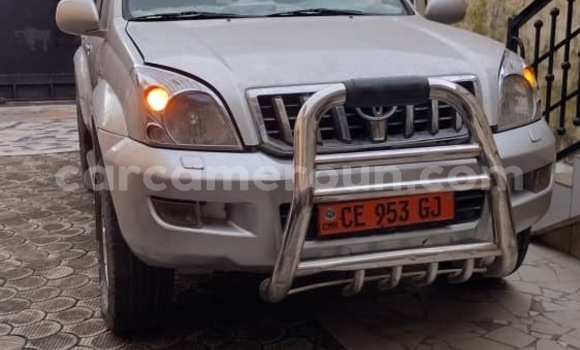 Buy New Toyota Land Cruiser Prado Silver Car in Douala in Littoral Cameroon Buy New Toyota Land Cruiser Prado Silver Car in Douala in Littoral Cameroon