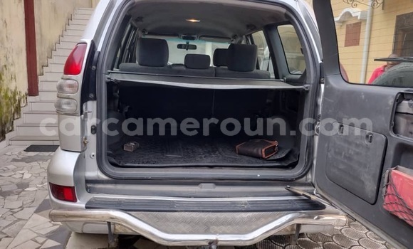 Buy New Toyota Land Cruiser Prado Silver Car in Douala in Littoral Cameroon Buy New Toyota Land Cruiser Prado Silver Car in Douala in Littoral Cameroon