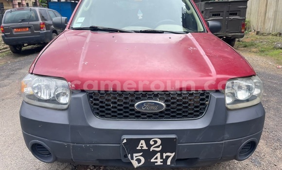 Acheter Neuf Voiture Ford Escape Rouge à Douala, Littoral Cameroon