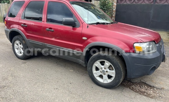 Buy New Ford Escape Red Car in Douala in Littoral Cameroon Buy New Ford Escape Red Car in Douala in Littoral Cameroon
