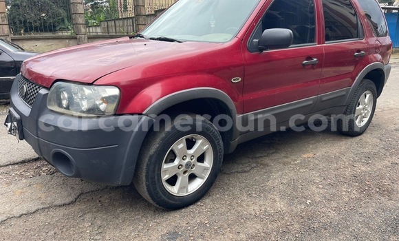 Buy New Ford Escape Red Car in Douala in Littoral Cameroon Buy New Ford Escape Red Car in Douala in Littoral Cameroon