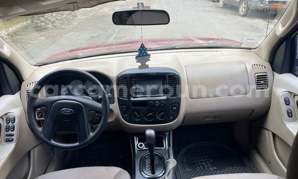 Buy New Ford Escape Red Car in Douala in Littoral Cameroon Buy New Ford Escape Red Car in Douala in Littoral Cameroon