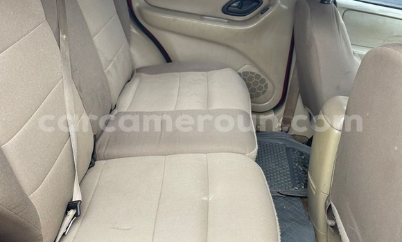 Buy New Ford Escape Red Car in Douala in Littoral Cameroon Buy New Ford Escape Red Car in Douala in Littoral Cameroon