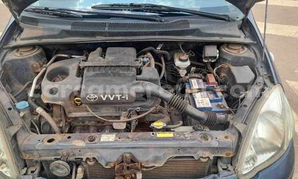 Acheter Occasion Voiture Toyota Yaris Gris à Yaoundé, Central Cameroon Acheter Occasion Voiture Toyota Yaris Gris à Yaoundé, Central Cameroon