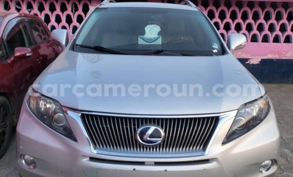 Buy New Lexus RX 350 Other Car in Douala in Littoral Cameroon