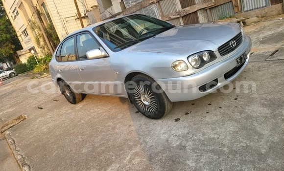 Acheter Import Voiture Toyota Corolla Gris à Douala, Littoral Cameroon