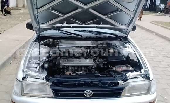 Acheter Occasion Voiture Toyota Corolla Gris à Douala, Littoral Cameroon Acheter Occasion Voiture Toyota Corolla Gris à Douala, Littoral Cameroon