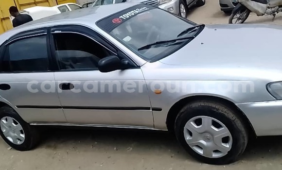 Acheter Occasion Voiture Toyota Corolla Gris à Douala, Littoral Cameroon Acheter Occasion Voiture Toyota Corolla Gris à Douala, Littoral Cameroon