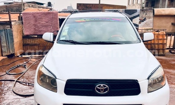 Buy Used Toyota RAV4 White Car in Yaounde in Central Cameroon