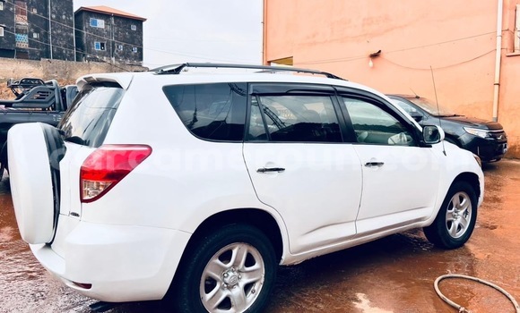 Buy Used Toyota RAV4 White Car in Yaounde in Central Cameroon Buy Used Toyota RAV4 White Car in Yaounde in Central Cameroon
