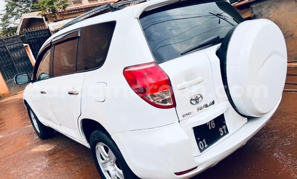 Buy Used Toyota RAV4 White Car in Yaounde in Central Cameroon Buy Used Toyota RAV4 White Car in Yaounde in Central Cameroon