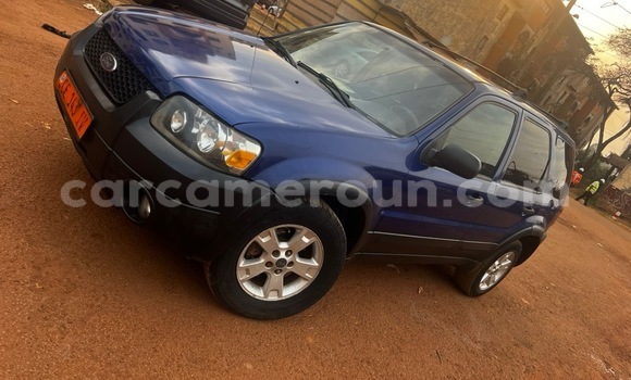 Acheter Occasion Voiture Ford Escape Bleu à Yaoundé, Central Cameroon Acheter Occasion Voiture Ford Escape Bleu à Yaoundé, Central Cameroon