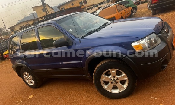 Acheter Occasion Voiture Ford Escape Bleu à Yaoundé, Central Cameroon Acheter Occasion Voiture Ford Escape Bleu à Yaoundé, Central Cameroon